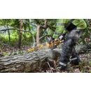 Product alternative photo