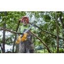 Product alternative photo