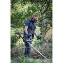 Product alternative photo