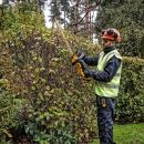 Product alternative photo