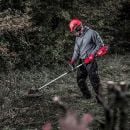 Product alternative photo