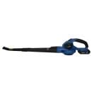 Product alternative photo