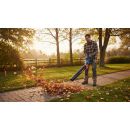 Product alternative photo