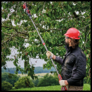 Product alternative photo