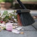 Product alternative photo