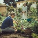 Product alternative photo