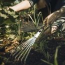 Product alternative photo