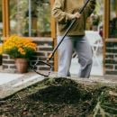 Product alternative photo