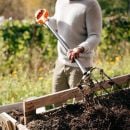 Product alternative photo