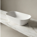 Product alternative photo