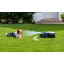 Product alternative photo