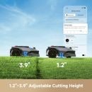 Product alternative photo