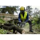 Product alternative photo