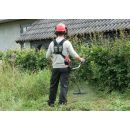 Product alternative photo