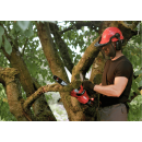 Product alternative photo