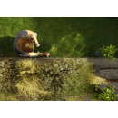 Product alternative photo