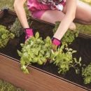 Product alternative photo