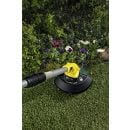 Product alternative photo