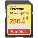 Atmiņas Karte SanDisk SDSDXWV-256G-GNCIN SD 256GB, 90MB/s, Melna/Zelta