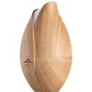 Product alternative photo