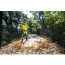 Product alternative photo