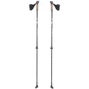 Палки для ходьбы Insportline Halti 83-135 см черно-коричневые (20305)