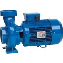 Ūdens Apgādes Sūknis Speroni CB