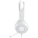 Product alternative photo
