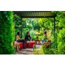 Product alternative photo