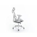 Product alternative photo