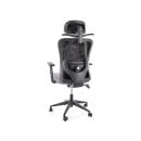 Product alternative photo
