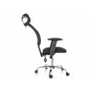 Product alternative photo