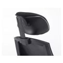 Product alternative photo
