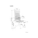Product alternative photo