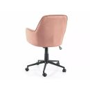 Product alternative photo