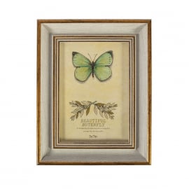 Foto Rāmis Home4You DRAGON FLY, 19x24cm, antīki balts/ zelta (84364) | Foto rāmji ➟ prof.lv