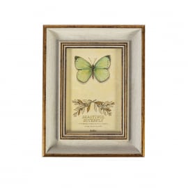 Foto Rāmis Home4You DRAGON FLY, 17x21.5cm, antīki balts/ zelta (84366) | Foto rāmji ➟ prof.lv