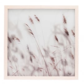 Ankle with calm barley 43x43cm (008193)(311805) | Wall paintings and pictures ➟ prof.lv