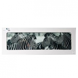 Glass photo frame ZEBRA 33x95cm (189389)(70775026) | Wall paintings and pictures ➟ prof.lv