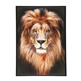 Ankle with a Calm Lion 50x70cm (008428)(324595) | Wall paintings and pictures ➟ prof.lv