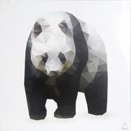 Fotoglezna Panda 50x50cm (189301)(70052011) | Sienas gleznas ➟ prof.lv