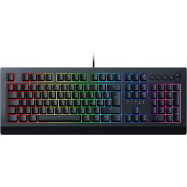 Klaviatūra Razer Cynosa V2 RU/EN Melna (RZ03-03400700-R3R1) | Klaviatūras ➟ prof.lv