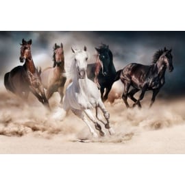 Glass Photo Frame 120x80cm (HORSES120) | Wall paintings and pictures ➟ prof.lv