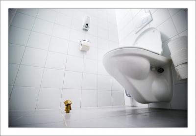 Kā izvairīties no tualetes poda aizsprostošanās?
